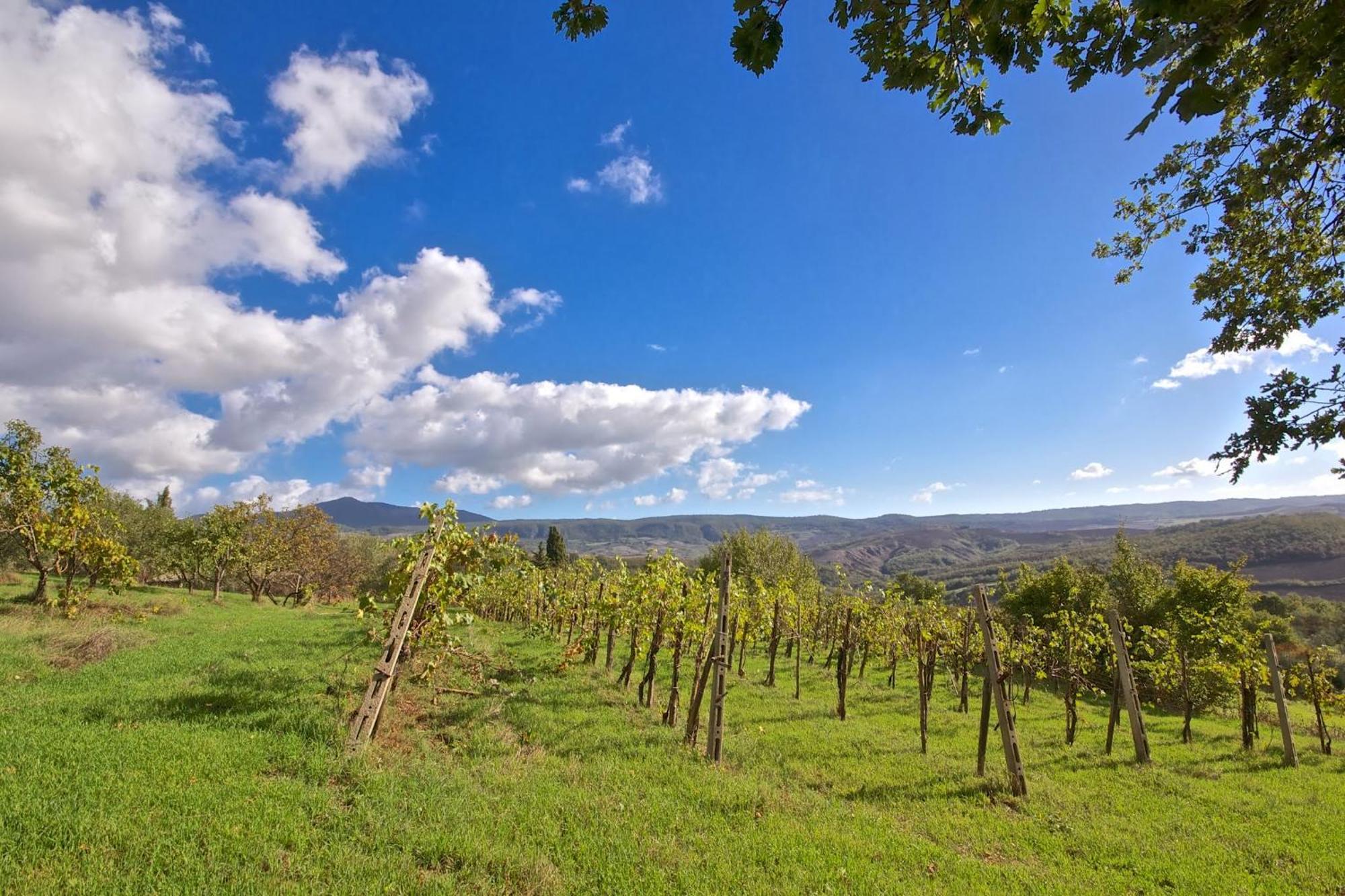 Agriturismo Corvaia ราดิโกฟานี ภายนอก รูปภาพ