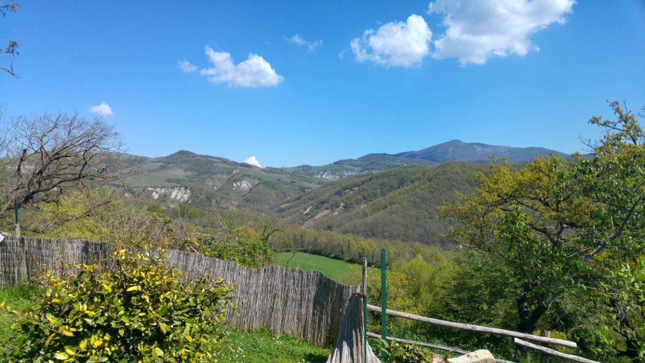 Agriturismo Corvaia ราดิโกฟานี ภายนอก รูปภาพ